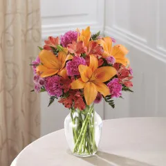 Light of My Life - Panama