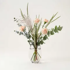 Dreamy Carnation - Sweden