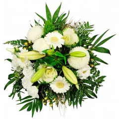 Sara - Bośnia i Hercegowina