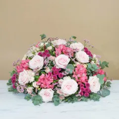 Bel hommage rose - Francja