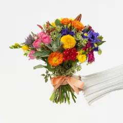 Bright Posy - Nowa Zelandia