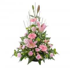 Pink Sympathy - Australia