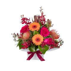 Fiesta Florals - Australia