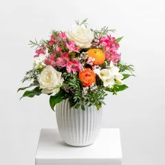 My Sunshine - Germany