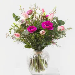 Spring Harbinger - Germany