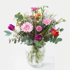 Softpink Greetings - Germany