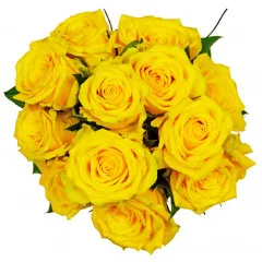 Affection Yellow Roses - Côte d’Ivoire
