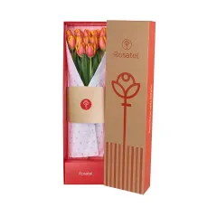 Tulipany w Pudełku - Peru