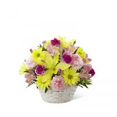 Kosz Radości - Chile