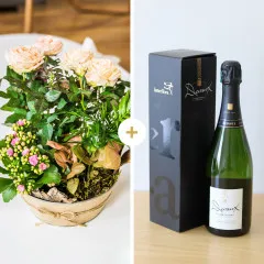 Coin de paradis et son champagne Devaux - Francja