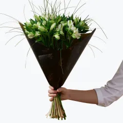 Piękna biel - Norwegia