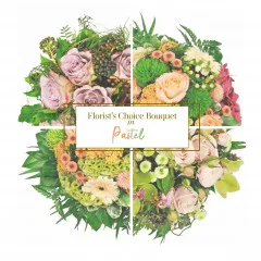 Pastel - Bosnia & Herzegovina