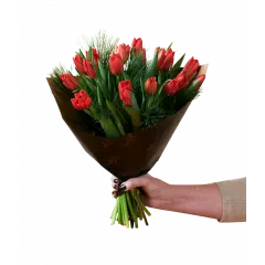 Świąteczne tulipany czerwone 240515 - Norwegia