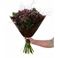 Amazing Alstromeria Purple 240527 - Norway