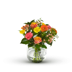 Indian summer - Belgium