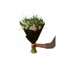 Gorgeous Pink - Norway