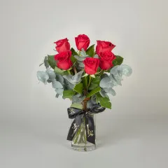 Kocham Róże - Australia