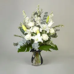 White Lily-Rose - Australia