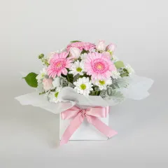 Sweet Gerberas - Australia