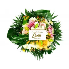 Exotica - Côte d’Ivoire