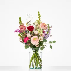 Wszystko Jest Miłością - Holandia