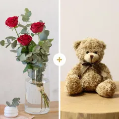 Tercia Red roses and teddy bear - Portugal