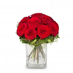 Small Pearl of Roses - Switzerland