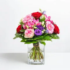 Czarujący róż - Czechy