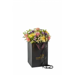 Spring Classic 250302 - Norway