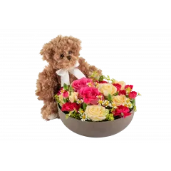 Celebrate and Teddy 250360 - Norway
