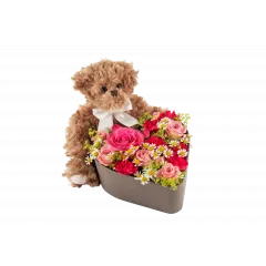 Love Heart and Teddy 250338 - Norway