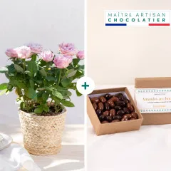 Rosier et ses chocolats - Francja