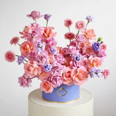 Plum Melody - India