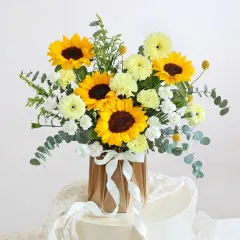 Eternal Sunshine - Indie