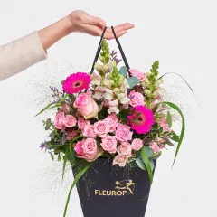 DZIŚ JEST TWÓJ DZIEŃ - Czechy