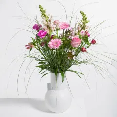 Letnie marzenie - Czechy