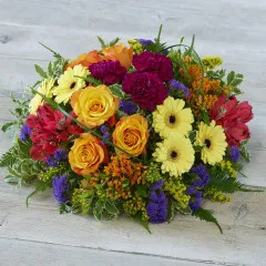 Wyjątkowo duża róża Bold Brights Posy - Wielka Brytania