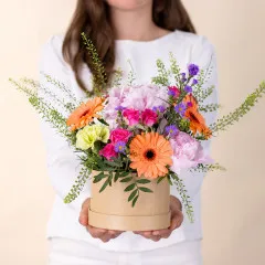Mała Orchidea - Francja
