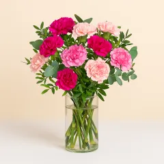 Bouquet of carnations - Spain