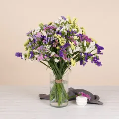 Bouquet di Semprevive - Włochy