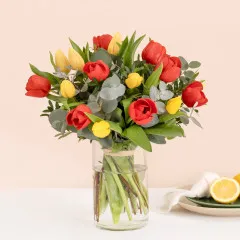 Wielokolorowe tulipany - Hiszpania