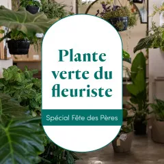 La plante du fleuriste spécial Fête des pères - Francja