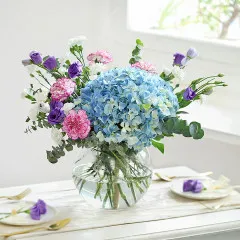 Poranna rosa - Indie