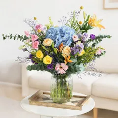 Colour Me Wild - Indie