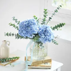 Breath of Blue - Indie