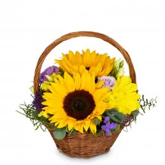 Power of Summer - Szwajcaria