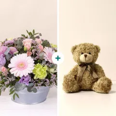 Zeste tendre et son ourson Harry - France