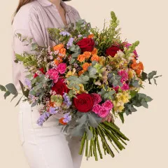 Rainbow - Arc en ciel - Francja