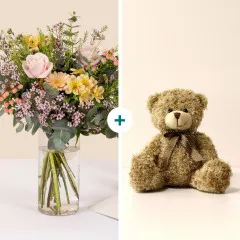 Sorbet and Teddy bear - Sorbet et son ourson - France
