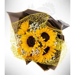 Honey Sparks - Dominican Republic